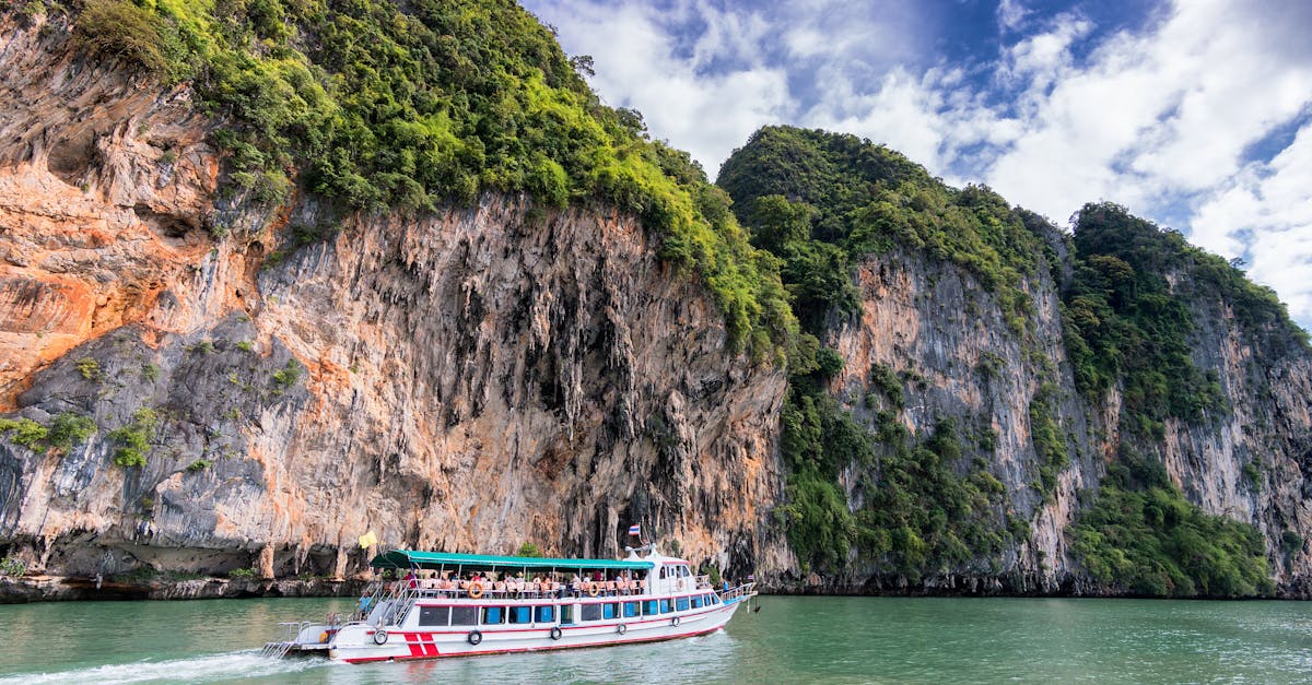 explore various cruise options for your next vacation and choose the perfect adventure for you, from luxury cruises to family-friendly experiences.