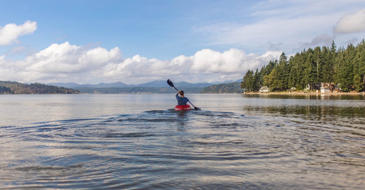 explore the beauty of alaskan fjords through kayaking adventures.