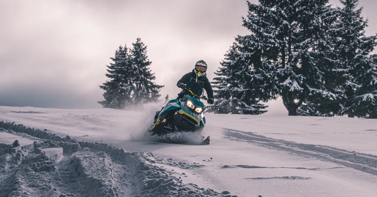 exciting snowmobiling adventures for all skill levels. discover breathtaking landscapes and enjoy the thrill of winter exploration.